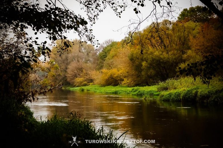 Rykowisko Polski Myśliwy